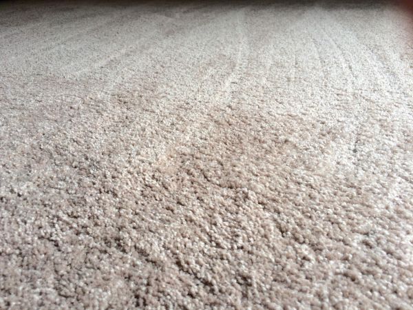 Plush Carpet Installation in Naples